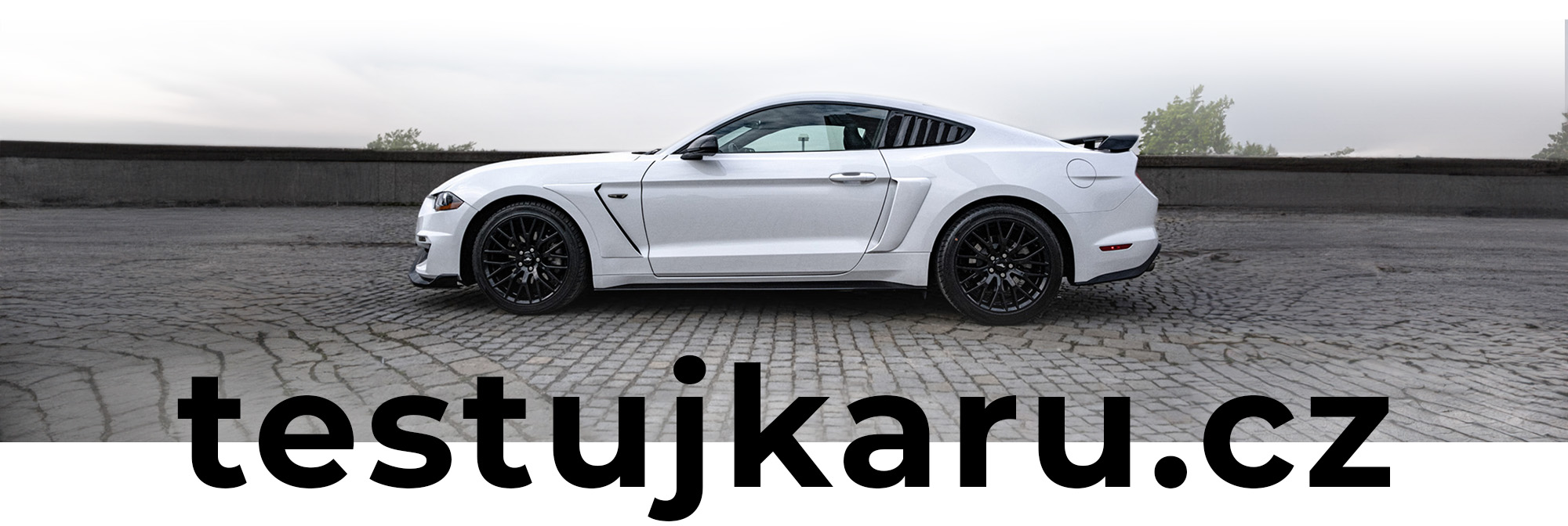 mustang_TEST